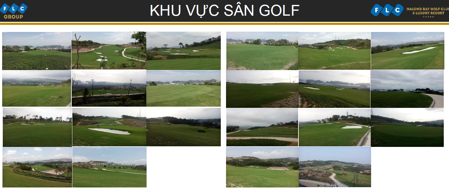 Sân golf dự án FLC Hạ Long